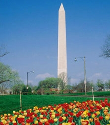Washington DC, Government Relations in Washington, DC